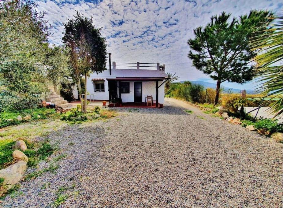 格拉纳达Loft Rural公寓 外观 照片